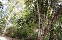 Calakmul and Bat Cave Tour from Bacalar