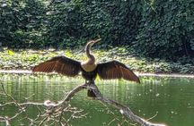 Bacalar Ichkabal Ruins and Boat Tour on the 7 Colors Lagoon