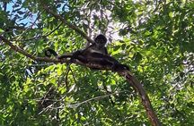 Bacalar Ichkabal Ruins and Boat Tour on the 7 Colors Lagoon