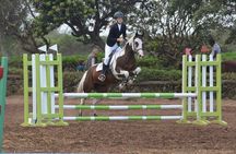 Horseback Riding Experience at Casablanca Beach