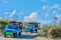 Aruba Jeep Tour: Natural Pool, Caves and Baby Beach Adventure