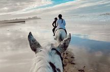 Horseback Riding Experience at Casablanca Beach