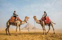 7-Day Egypt Tour Package with Nile Cruise, Cairo & Alexandria