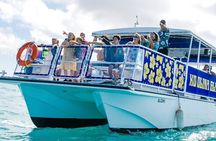 Ko Olina Glass Bottom Boat Tour - 1 Hour Reef Adventure