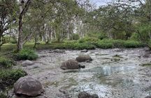  Santa Cruz Highlands Tour with Tortoise and Lava Tunnels