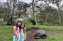  Santa Cruz Highlands Tour with Tortoise and Lava Tunnels