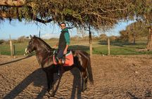 7 days Horse and Yoga Retreat on Morocco’s Atlantic Coast