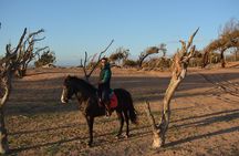 7 days Horse and Yoga Retreat on Morocco’s Atlantic Coast