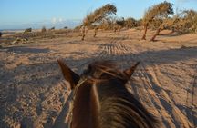 7 days Horse and Yoga Retreat on Morocco’s Atlantic Coast