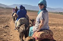 Atlas Experience: Camel Ride, Cooking Class & Traditional Hammam