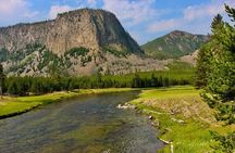 Yellowstone Grand Teton & Jackson Hole 5-day Fully Guided Tour