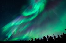 Rovaniemi: 100% Money-Back Guarantee Northern Lights - Photos