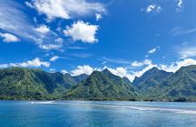 Private Tahiti Experience by minivan - Teahupo'o Wave Watching