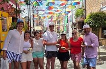 Exclusive Private Panoramic Tour of the Dominican Countryside