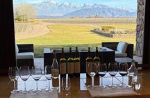 3 Wine Tasting and Harmonized Lunch Tour in Mendoza