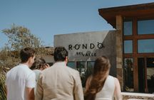 Complete Experience: Tasting, Tour and Gardens | Rondo del Valle