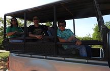 Yala National Park Half Day Safari - Ceylon Safari Tours