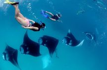 Private Boat to Nusa Penida with Snorkeling and Land Tour