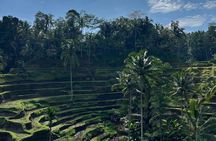 Private Bali Tour Bali Swing Rice Terrace Temple and Waterfall