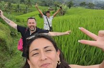 Private Bali Tour Bali Swing Rice Terrace Temple and Waterfall