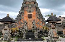 Private Bali Tour Bali Swing Rice Terrace Temple and Waterfall