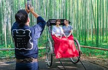 Kyoto Luxury Private Car Tour with Local Guide-Nara&Osaka Options