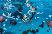 7-Day Perth to Exmouth Kalbarri Coastal Adventure from Perth