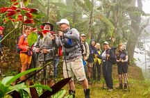 Moshi Cultural Day: Materuni Waterfall, Coffee Tour | City Tour