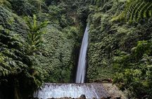 Private North Bali Tour from Celukan Bawang Port – Customizable