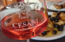 Tuscan Cuisine Cooking Class in San Gimignano