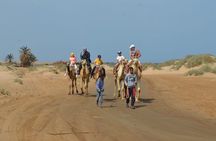 Desert Adventure Jeep and Quad bike Safari and Star Gazing 