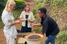 Kilimanjaro Coffee Tour: Traditional Farm-to-Cup