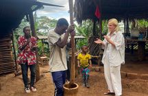 Kilimanjaro Coffee Tour: Traditional Farm-to-Cup