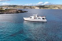 Full Day Round Malta Boat Cruise with Lunch and Swim Stops