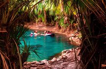 Materuni Waterfall | Kikuletwa Hot Springs | Day Trip from Moshi
