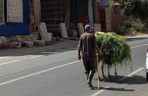  Ourika Valley & Atlas Waterfalls Day Tour + Lunch & Guide