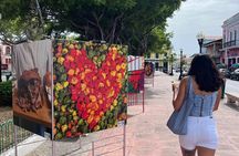 Full Day Cultural Road Trip to Ponce