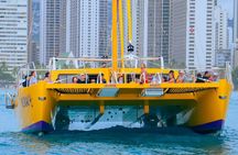 90 Minute Waikiki Turtle Canyon Snorkel