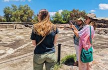 Teotihuacan Pyramids Guided Trip Entry Included and Transport.