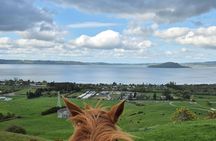 Scenic Horse Trekking Adventure in Rotorua