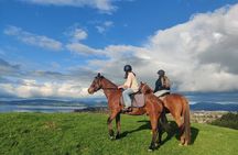 Scenic Horse Trekking Adventure in Rotorua