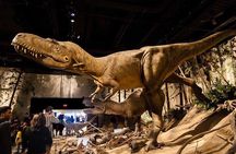 Private Day of Dinosaurs & Hoodoos from Calgary to Badlands