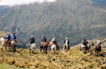 Andes and Amazon Multisport 6 Days Tour