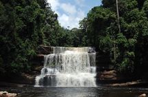 Tawau: 4D3N Maliau Basin Hiking Expedition