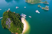 Leola Cruise Ha Long Bay 1 Day Trip 6 Star