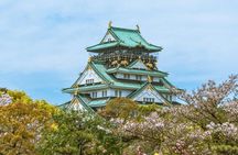 Osaka Highlights Walking Tour: Castle, Dotonbori & Hidden Gems