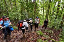Tawau: 4D3N Maliau Basin Hiking Expedition
