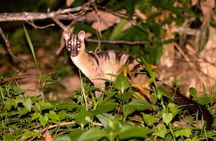 Tawau: 4D3N Maliau Basin Hiking Expedition