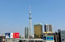 Tokyo Private 1-Day Sightseeing Tour by Car with Guide
