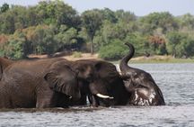 7 Day Zimbabwe Bostwana Safari